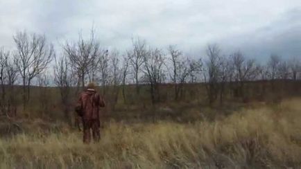 mezei nyúl vadászat őszén chernotropu kutya nélkül