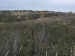 Vadászat a nyulat a chernotropu