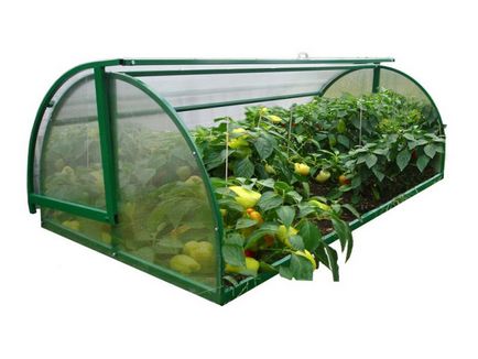 Greenhouse polikarbonát - kialakítási lehetőségeit, hogyan lehet a saját! (Üvegházi) Greenhouse polikarbonát - kialakítási lehetőségeit, hogyan lehet a saját!