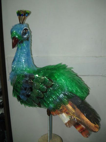 Peacock műanyag p class