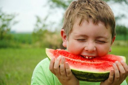 Miért görögdinnye - bogyó és hogy ez mennyire igaz