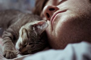 Miért a macska fekszik a személy és a tulajdonos alszik az ágyban