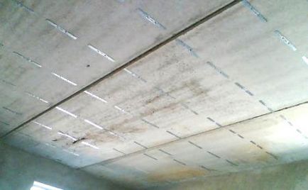 A felső határ a nedvességgel szemben ellenálló gipszkarton a fürdőszobában kezével fotó (gipszkarton mennyezet fürdőszoba) A felső határ a nedvességgel szemben ellenálló gipszkarton a fürdőszobában kezével fotó
