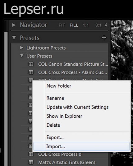 Presets laytrum - hogyan kell beállítani előre beállított laytrum hogyan kell hozzáadni az előre beállított laytrum - fotokto (add beállított Laytrum) Presets laytrum - hogyan kell beállítani előre beállított laytrum hogyan kell hozzáadni az előre beállított laytrum - fotokto