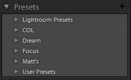 Presets Lightroom, hogyan kell telepíteni a presetek laytrum, blog fényképezés és microstock
