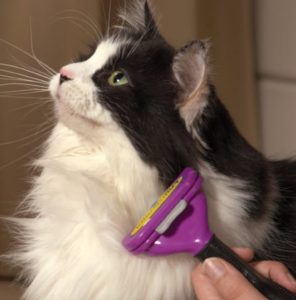 Comb macskáknak fuminator hogyan kell kiválasztani, használni, mint egy segítséget, mint helyettesíti scratcher