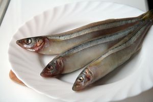 Receptek sült smelts, pácolt, sózott