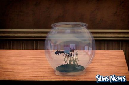 Angel fish és hal halál a Sims 3