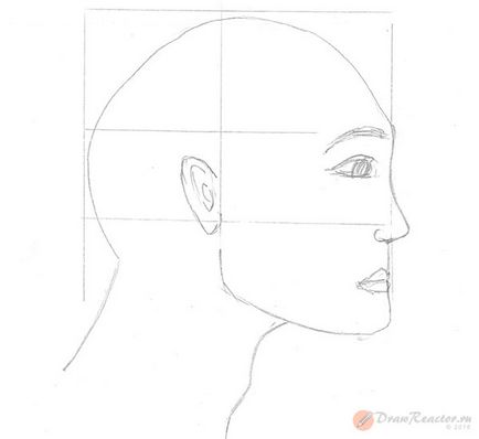 Rajzolj egy arcot profilból - a tanulságok levonása