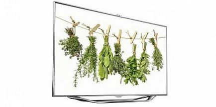 Smart TV az otthoni hálózaton, hogyan kell csatlakoztatni a TV-t a helyi hálózat és a számítógép - a választás, hogy milyen típusú