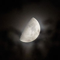 Kutya anyának, háziállat, állatok () Kutya Mamának, háziállat, állatok