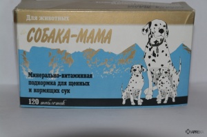 Kutya anya (vitaminok) kutyák, vélemények a kábítószer-használat az állatok az állatorvosok és a