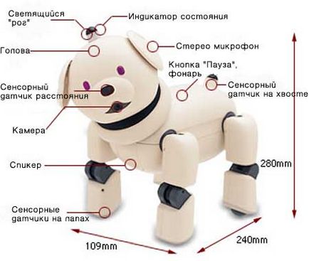 Robot kutya Aibo »Robot játékok