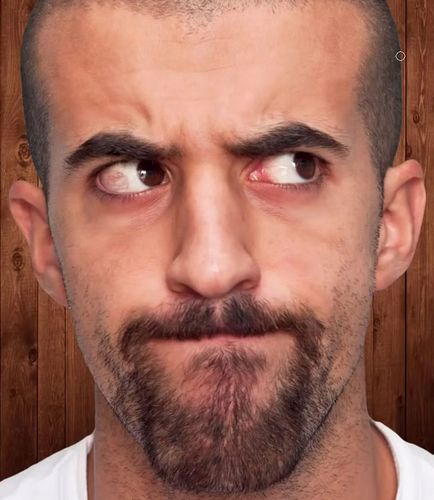Létrehozása vicces kollázs kefe egy üres fej (QuickSelection gyors kiadás) Hozzon létre egy szórakoztató kollázs Photoshop üres fej