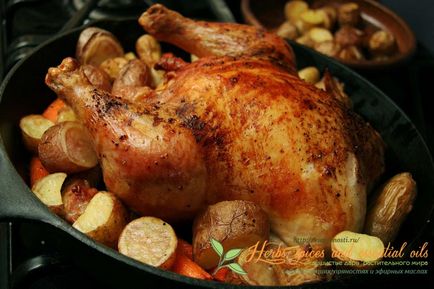 Fűszerek csirke - titkok a szakácsok és receptek