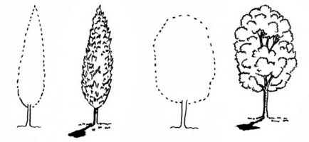 elhagyja rajz áramköri ágak és a fa (nyír, lucfenyő, tölgy, juhar)