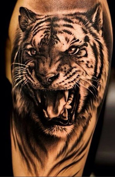 Tattoo vigyor a farkas, tigris, medve, oroszlán - jelentését és fotók