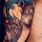 Wolf tetoválás jelenti vázlatok