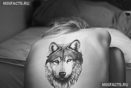 Wolf tetoválás jelentését és fotók