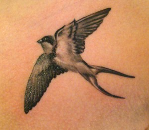 Bird tetoválás - érték képek tritatushki