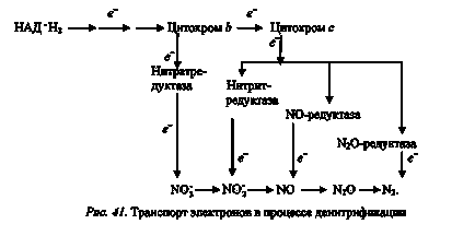 Tárgy 16 „anaerob légzés”