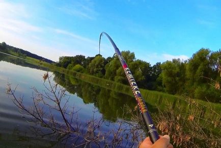 Rudak nyári horgászat - hogyan válasszuk ki a jó csali, és mi jobb