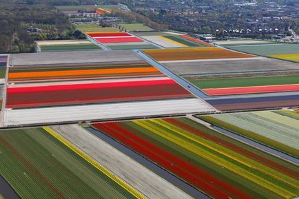 Mi a különbség a holland és Hollandia - egy és ugyanaz-e vagy sem