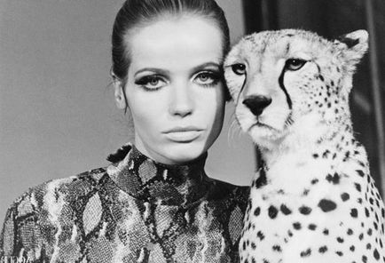 Veruschka (modell)