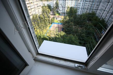 Paddock macska ablak (erkély) Moszkvában