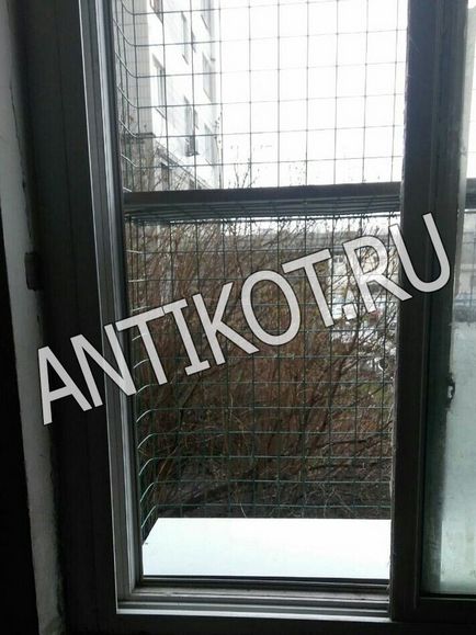 Paddock macska ablak (erkély) Moszkvában