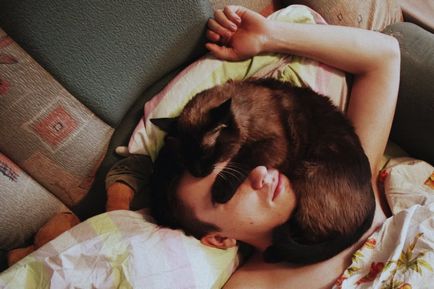 Miért a macska fekszik a személy - macskák és macskák gyakran alszik az ember, vagy közel valaki, hogy miért