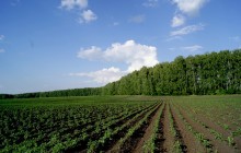 Land részvény - mi ez, a regisztráció, a szerződés, bérlet és eladás