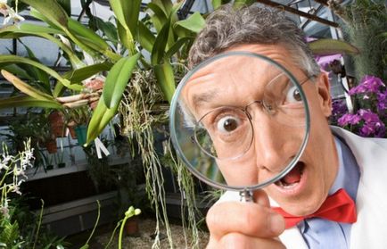 10 hihetetlen tanúvallomások az evolúció a földi élet (az ókori emlős hadrokodium) 10 hihetetlen tanúvallomások az evolúció a földi élet