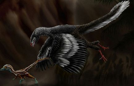 10 hihetetlen tanúvallomások az evolúció a földi élet (élet) 10 hihetetlen tanúvallomások az evolúció a földi élet