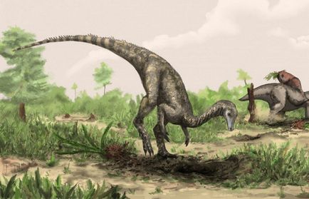 10 hihetetlen tanúvallomások az evolúció a földi élet (kb millió ezelőtt) 10 hihetetlen tanúvallomások az evolúció a földi élet