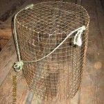 4 Ways, hogyan kell tartani a halat egy halászati út a nyári (út) 4 Ways, hogyan kell tartani a halat egy halászati út a nyáron