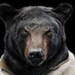 Háttér, sapkák, avatarok magassugárzó (Háttér) Háttér, kalapok, avatarok Twitter