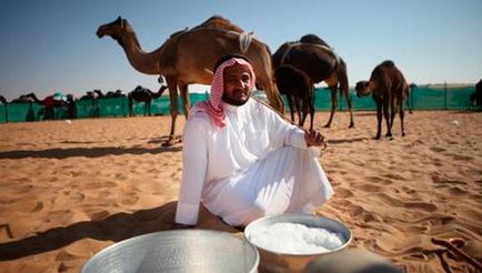 Érdekességek a tevék (camel érdekes tény) Érdekességek a tevék