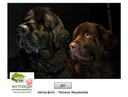 Hogyan készítsünk egy fotót a rajz ceruza fotoledi (do) Hogyan készítsünk egy fotót a rajz ceruzával fotoledi