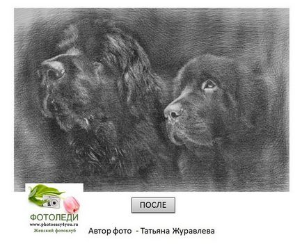Hogyan készítsünk egy fotót a rajz ceruzával fotoledi (készült egy fénykép photoshop kép) Hogyan készítsünk egy fotót a rajz ceruzával fotoledi