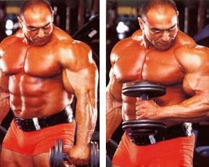 Hogyan építsünk egy szuper brachialis szivattyúzás brachialis (szivattyú) Hogyan építsünk egy szuper brachialis szivattyúzás brachialis