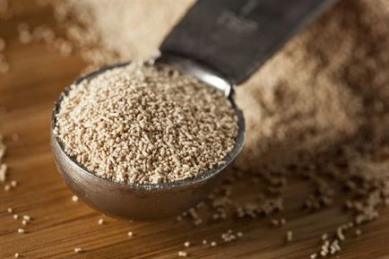 Hogyan tegye Braga az otthon egy egyszerű recept (recept) Hogyan tegye Braga az otthoni egyszerű recept