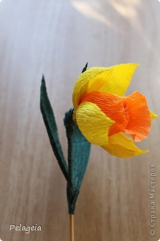 Hogyan készítsünk egy nárcisz a papírt a kezét (csokor) Hogyan, hogy a rózsa papírból saját kezűleg