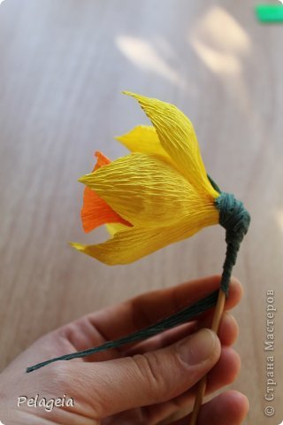 Hogyan készítsünk egy nárcisz a papírt a kezét (ajándék) Hogyan, hogy a rózsa papírból saját kezűleg