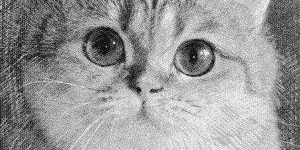 Hogyan készítsünk egy ceruzarajz Photoshop - len órákat a rajz és design Adobe Photoshop (Kép) Hogyan készítsünk egy ceruzarajz Photoshop - len órákat a rajz és design Adobe Photoshop