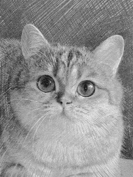 Hogyan készítsünk egy ceruzarajz Photoshop - len órákat a rajz és design Adobe Photoshop (Photoshop) Hogyan készítsünk egy ceruzarajz Photoshop - len órákat a rajz és design Adobe Photoshop
