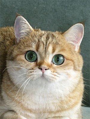 Hogyan készítsünk egy ceruzarajz Photoshop - len órákat a rajz és design Adobe Photoshop (Photoshop) Hogyan készítsünk egy ceruzarajz Photoshop - len órákat a rajz és design Adobe Photoshop