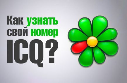 Honnan tudja a számom icq, ahol csak mail (arra a kérdésre, hogy megtudja) Honnan tudja a számom icq, ahol csak mail