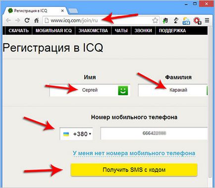Hogyan lehet regisztrálni, hogyan kell telepíteni ICQ ICQ (set QIP) Hogyan lehet regisztrálni, hogyan kell telepíteni ICQ ICQ