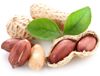 Katalógus vitaminok (A-vitamin Vitamin 100g) katalógus vitaminok